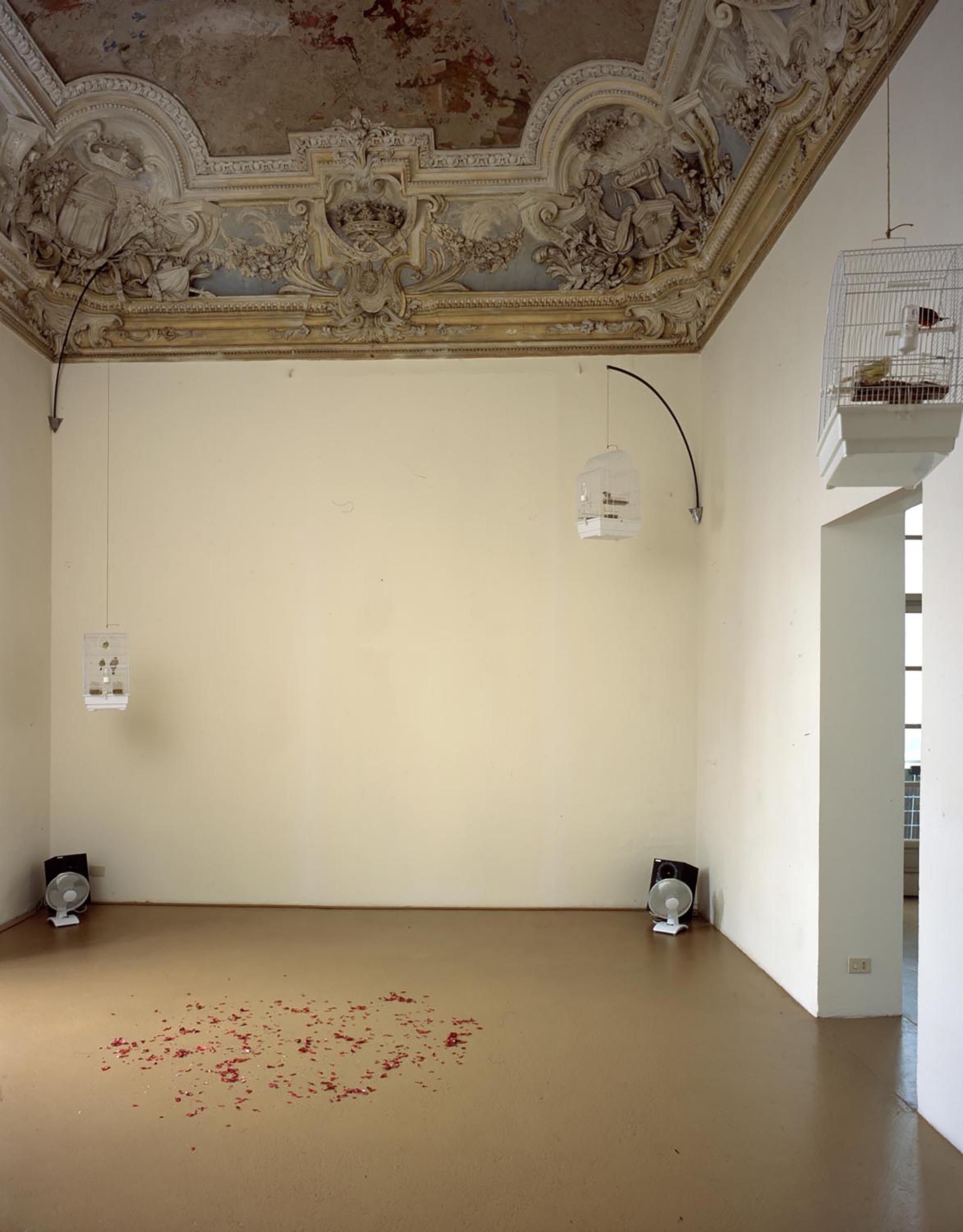 Bruna Esposito, Sereno-variabile, 2002 (detail)